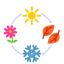 Seasonal clean-up